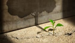 Surety Advice to Start-Up Construction Company Owners